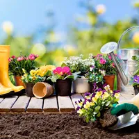 JARDINERÍA EL TRÉBOL