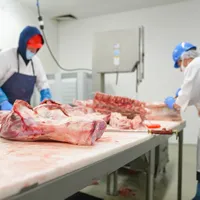 GRUPO COMERCIALIZADORA DE CARNES