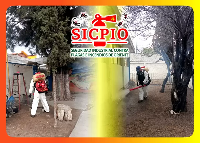 Seguridad industrial contra plagas e incendios de oriente | ¡Ya lo Encontré!