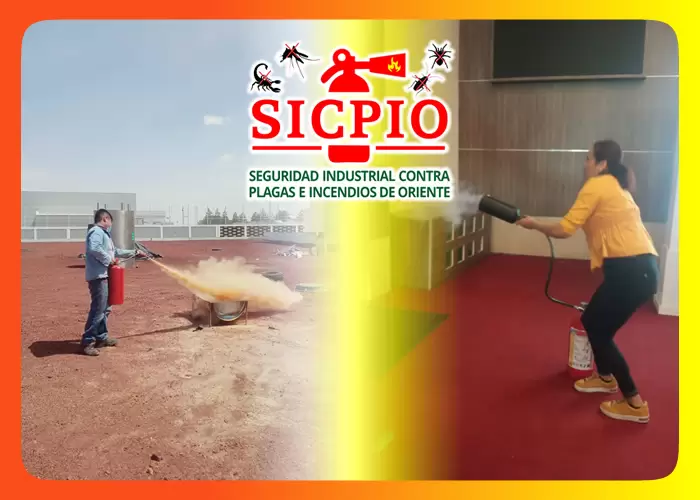 Seguridad industrial contra plagas e incendios de oriente | ¡Ya lo Encontré!