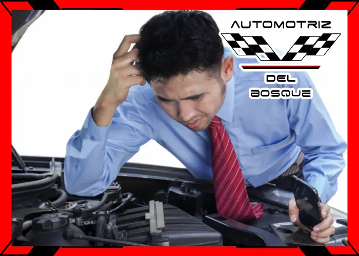 AUTOMOTRIZ DEL BOSQUE