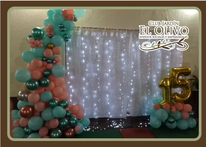 SALN CLUB EL OLIVO