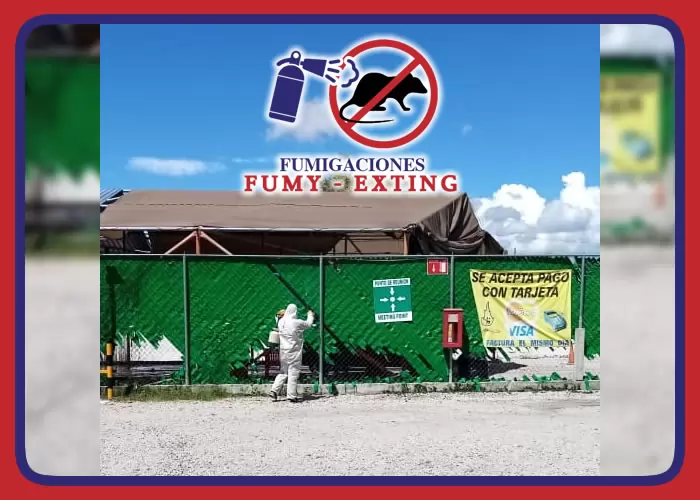 FUMY EXTING - MANTENIMIENTO, VENTA Y RECARGA DE EXTINGUIDORES