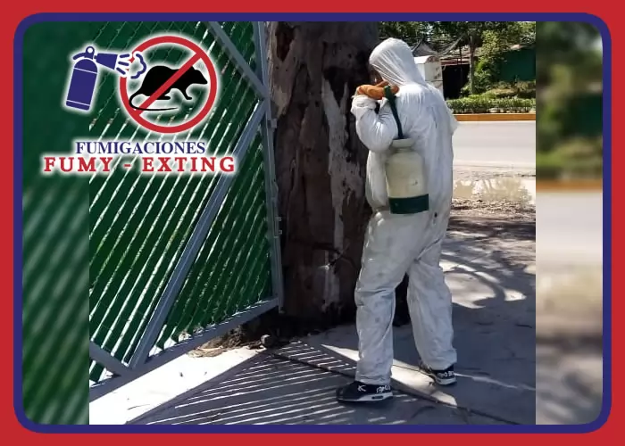 FUMY EXTING - MANTENIMIENTO, VENTA Y RECARGA DE EXTINGUIDORES