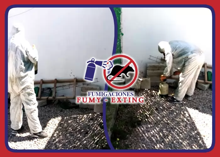 FUMY EXTING - MANTENIMIENTO, VENTA Y RECARGA DE EXTINGUIDORES