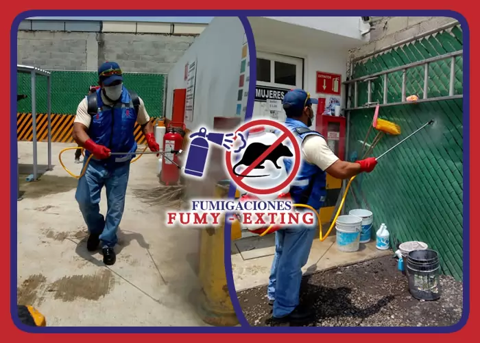 FUMY EXTING - MANTENIMIENTO, VENTA Y RECARGA DE EXTINGUIDORES