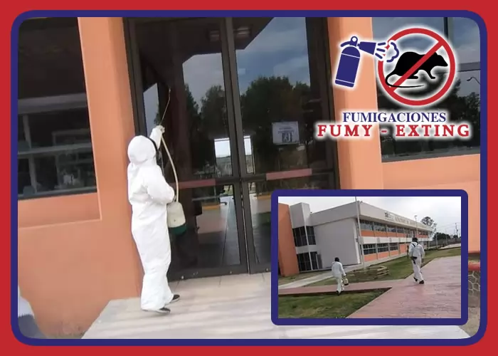 FUMY EXTING - MANTENIMIENTO, VENTA Y RECARGA DE EXTINGUIDORES