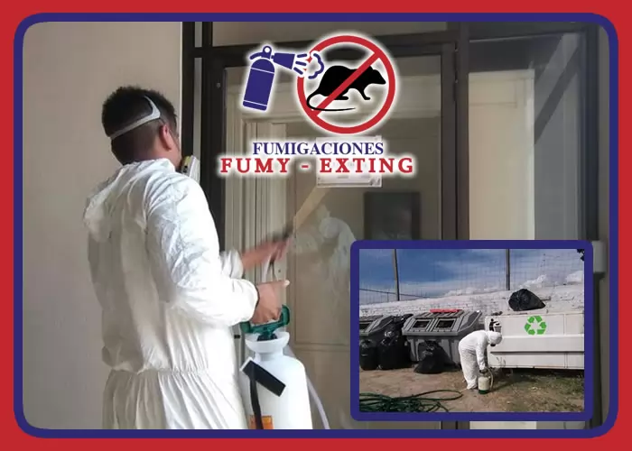 FUMY EXTING - MANTENIMIENTO, VENTA Y RECARGA DE EXTINGUIDORES
