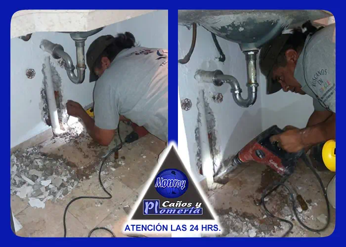 PLOMEROS MONROY