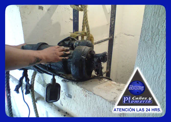 PLOMEROS MONROY