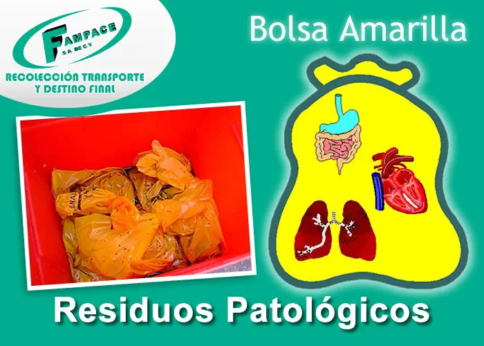 FAMPACE S.A. DE C.V. - TRATAMIENTO DE RESIDUOS PELIGROSOS