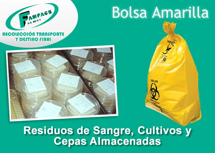 FAMPACE S.A. DE C.V. - TRATAMIENTO DE RESIDUOS PELIGROSOS
