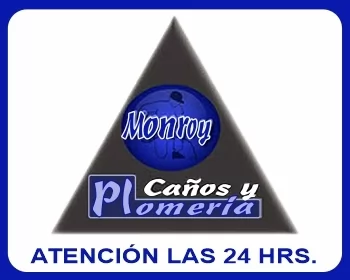 PLOMEROS MONROY