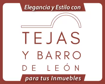 TEJAS Y BARRO DE LEÓN